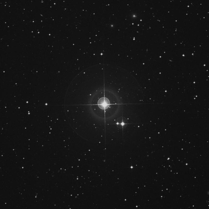 Image of β Caeli (beta Caeli) star