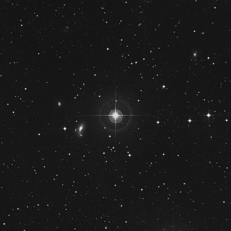 Image of 56 Eridani star