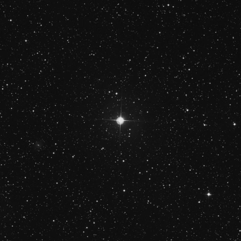 Image of 4 Camelopardalis star