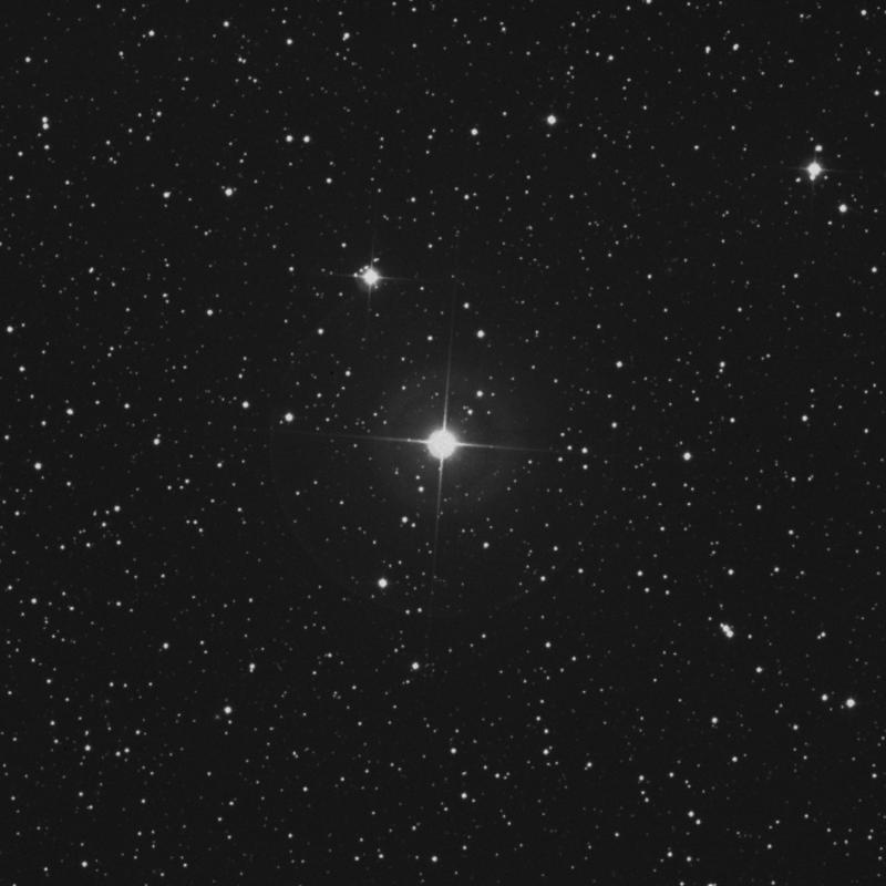 Image of α Camelopardalis (alpha Camelopardalis) star