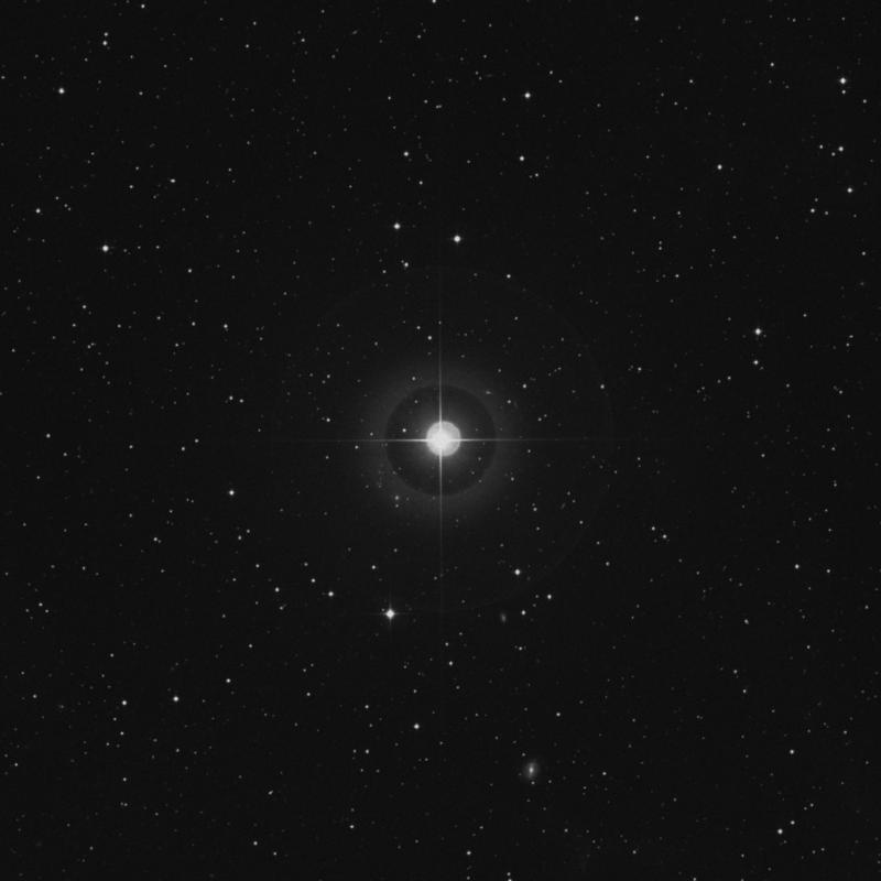 Image of π2 Orionis (pi2 Orionis) star