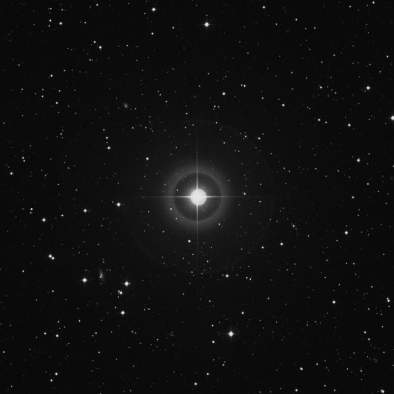 Image of π4 Orionis (pi4 Orionis) star