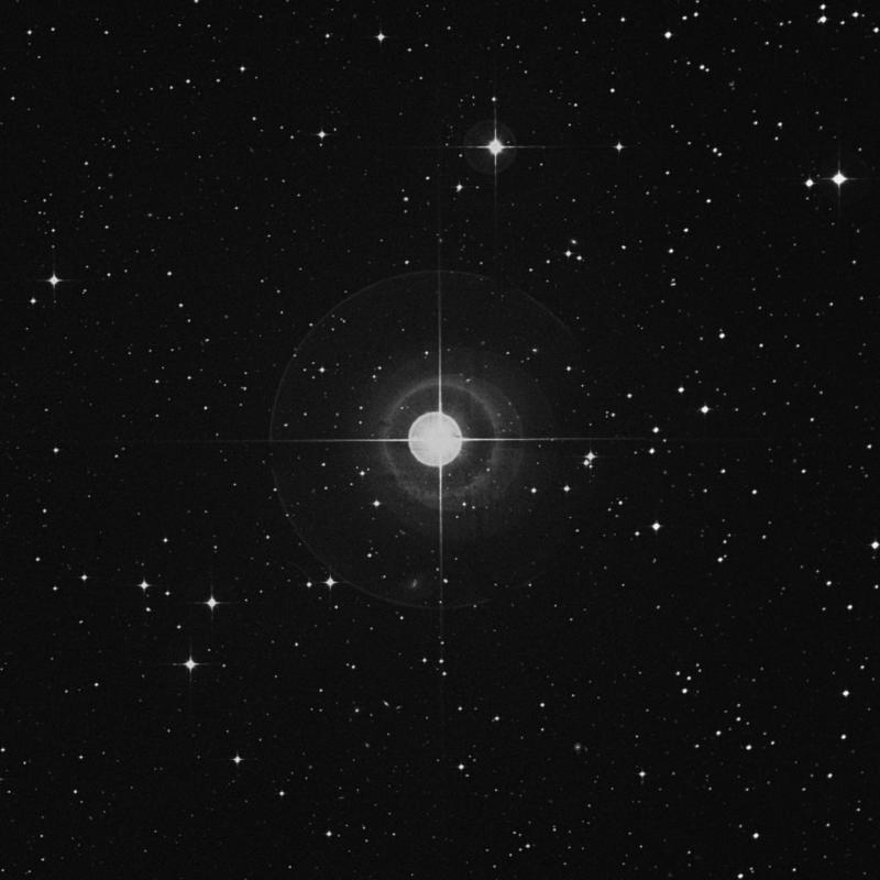 Image of ω Eridani (omega Eridani) star