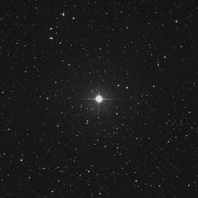 Image of 7 Camelopardalis star