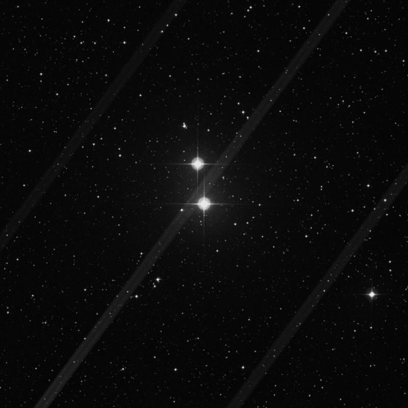Image of 11 Camelopardalis star