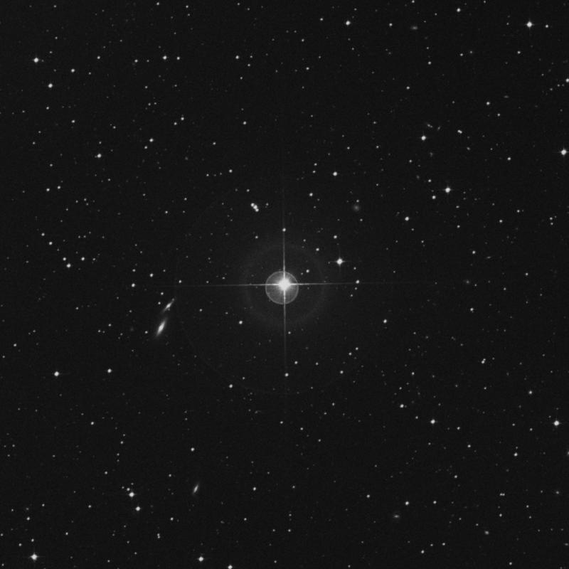 Image of 1 Leporis star