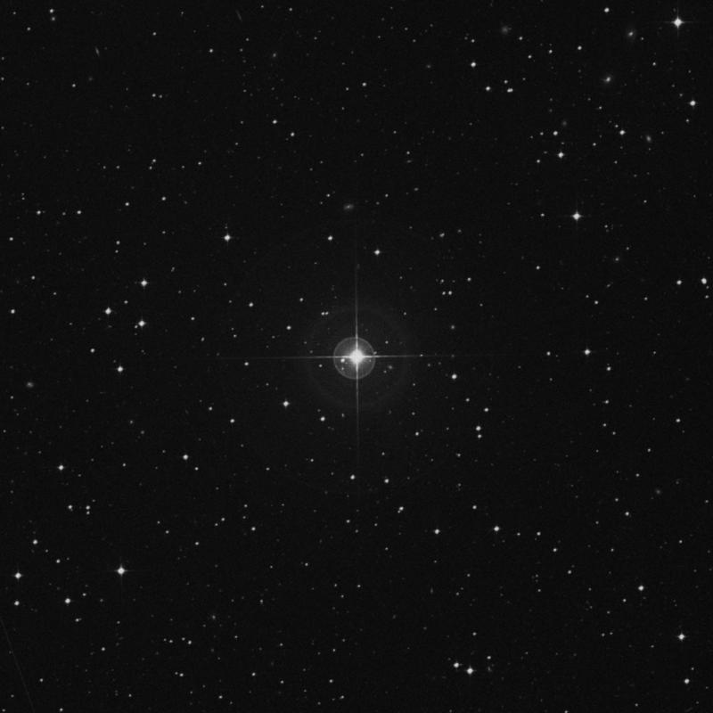 Image of HR1645 star