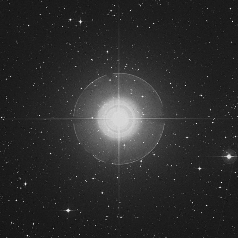 Image of Cursa - β Eridani (beta Eridani) star