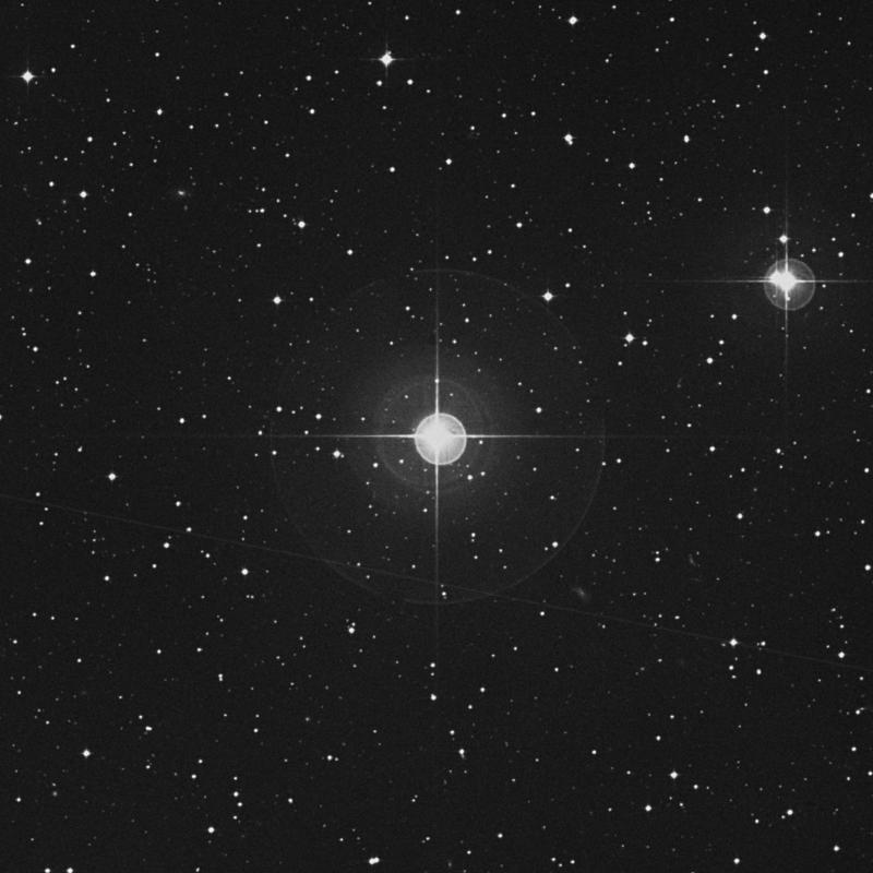 Image of λ Eridani (lambda Eridani) star