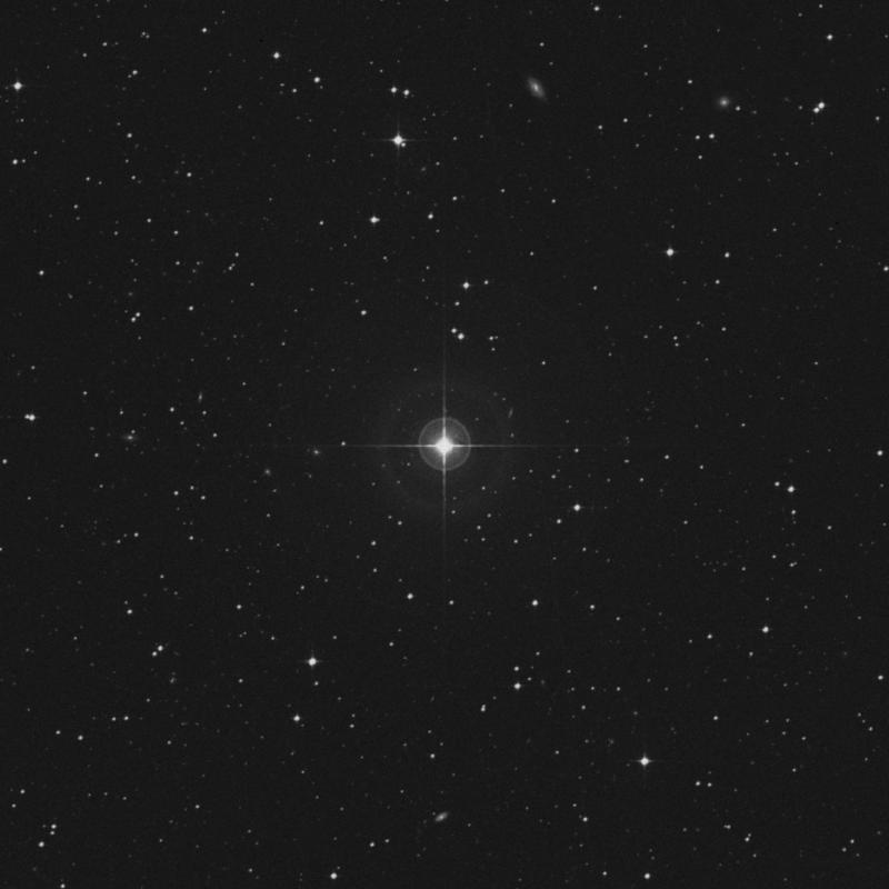 Image of HR1694 star