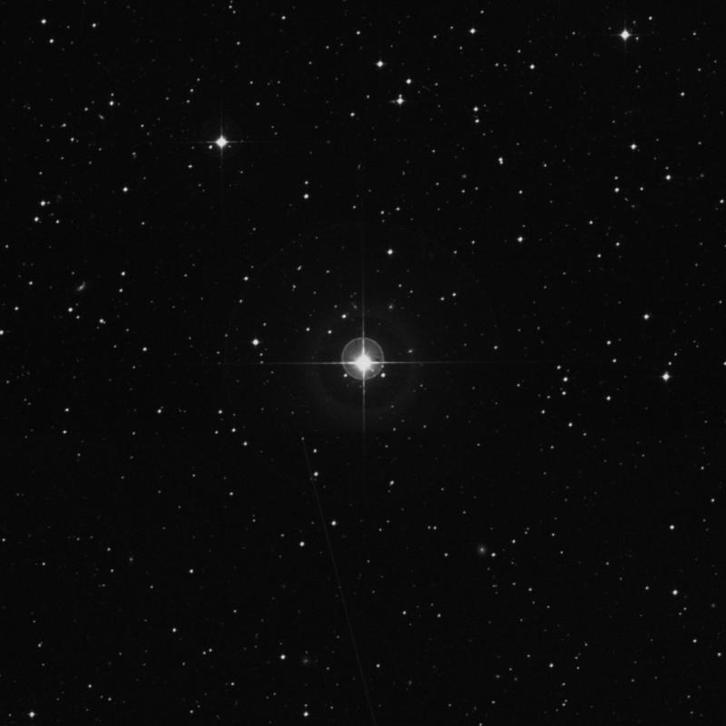 Image of HR1699 star