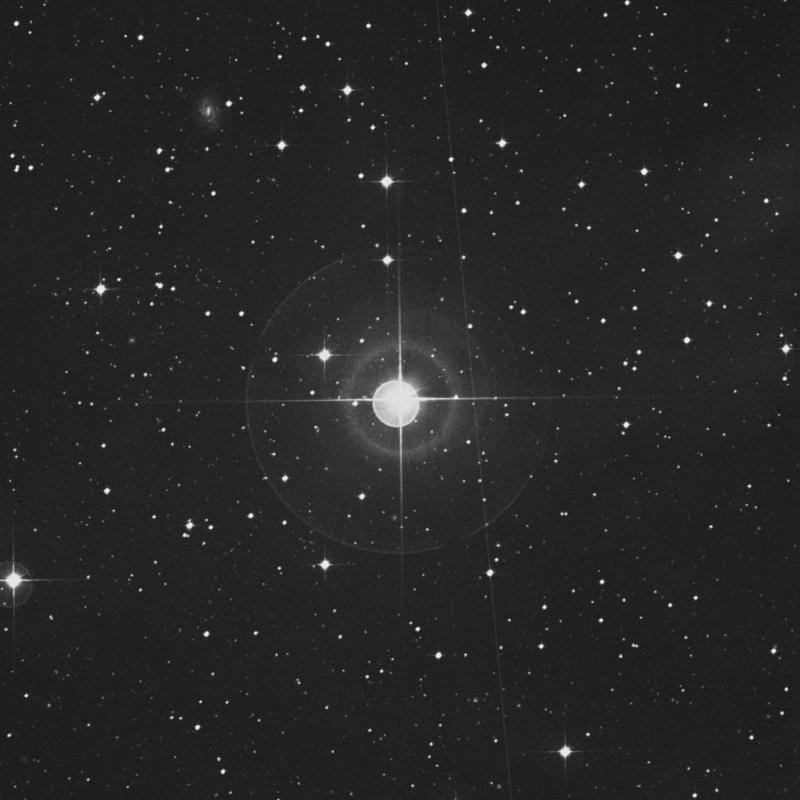 Image of κ Leporis (kappa Leporis) star