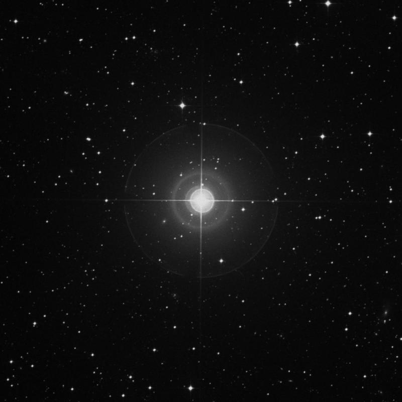 Image of ο Columbae (omicron Columbae) star