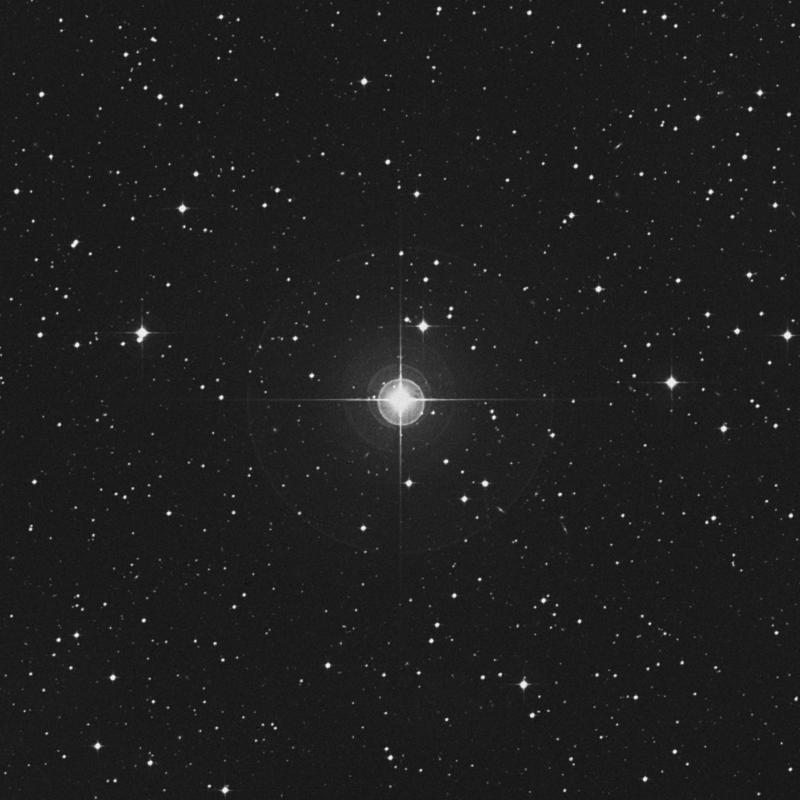 Image of 8 Leporis star