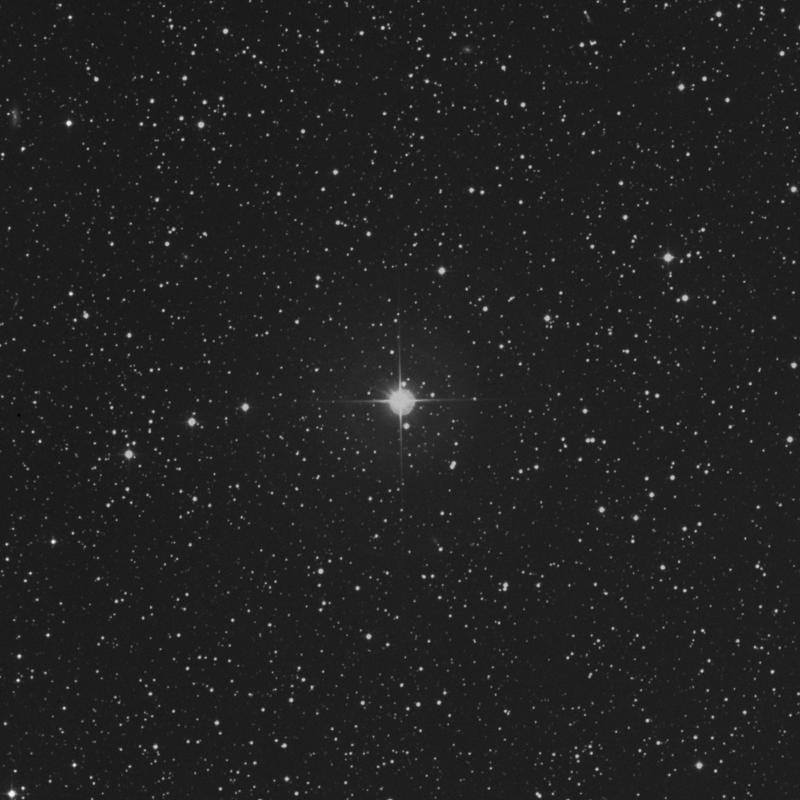 Image of 114 Tauri star