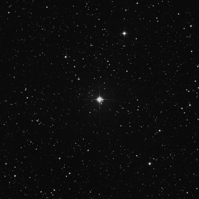 Image of 116 Tauri star