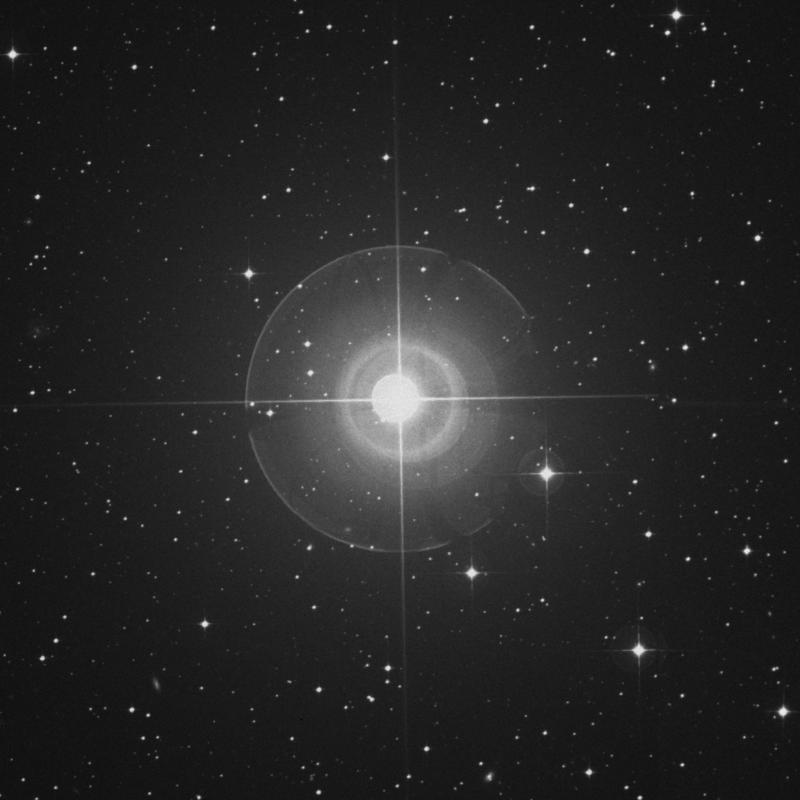 Image of Nihal - β Leporis (beta Leporis) star