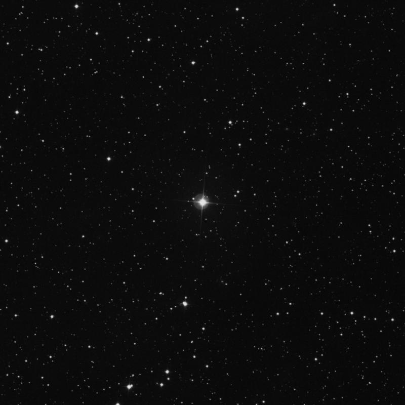 Image of 19 Camelopardalis star