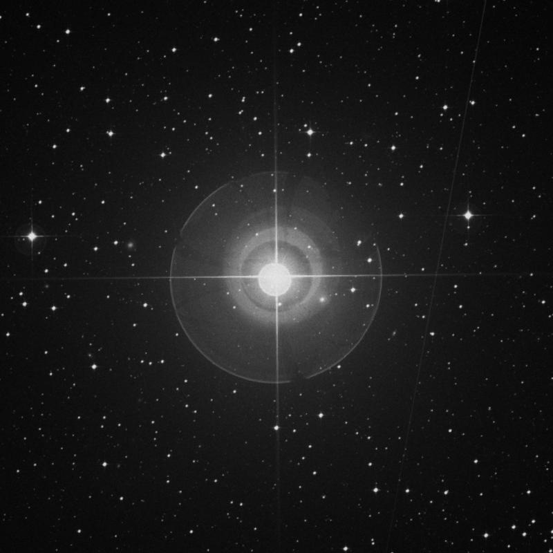 Image of Arneb - α Leporis (alpha Leporis) star