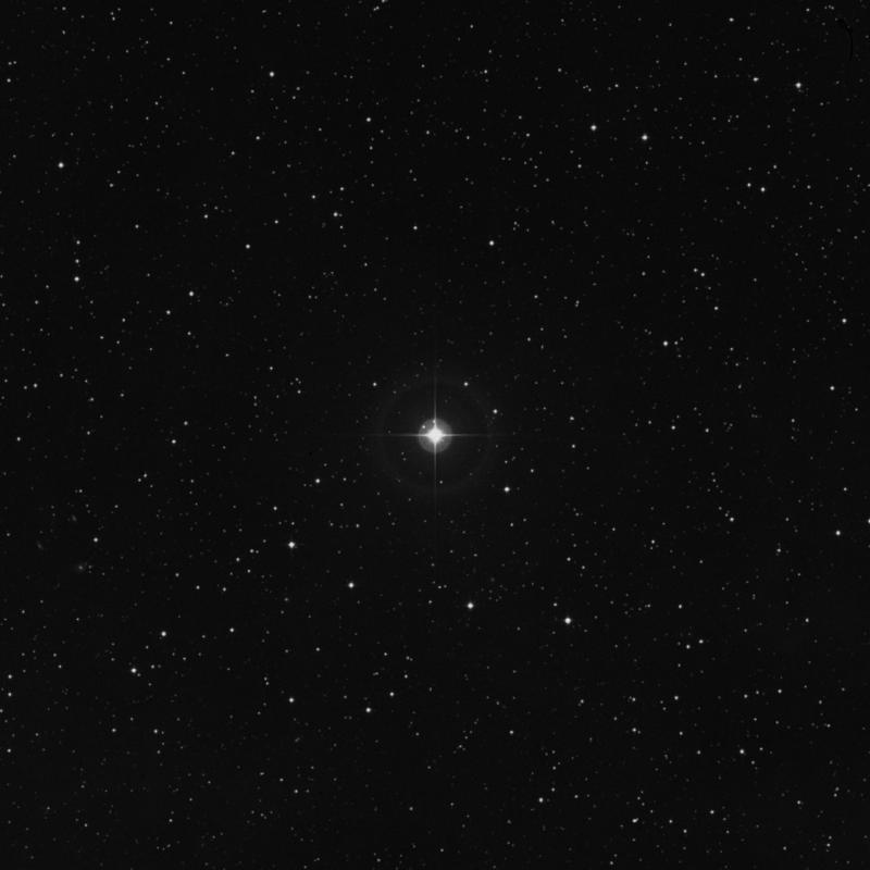 Image of HR1955 star