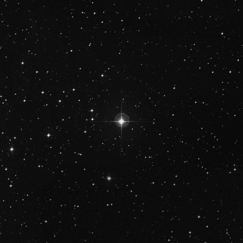 Image of 12 Leporis star