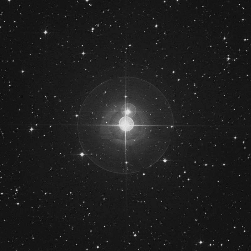 Image of γ Leporis (gamma Leporis) star