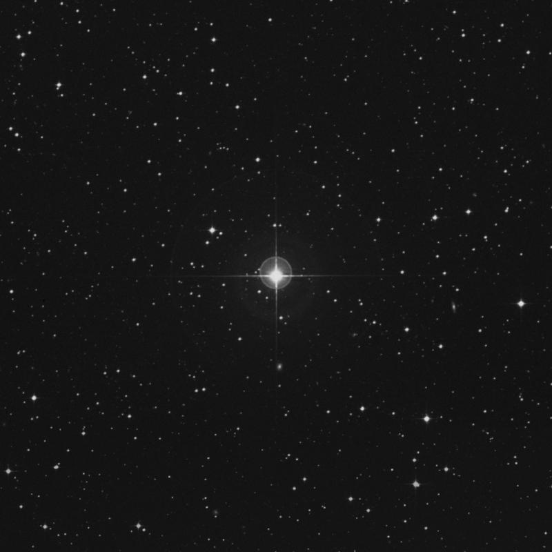 Image of μ Columbae (mu Columbae) star