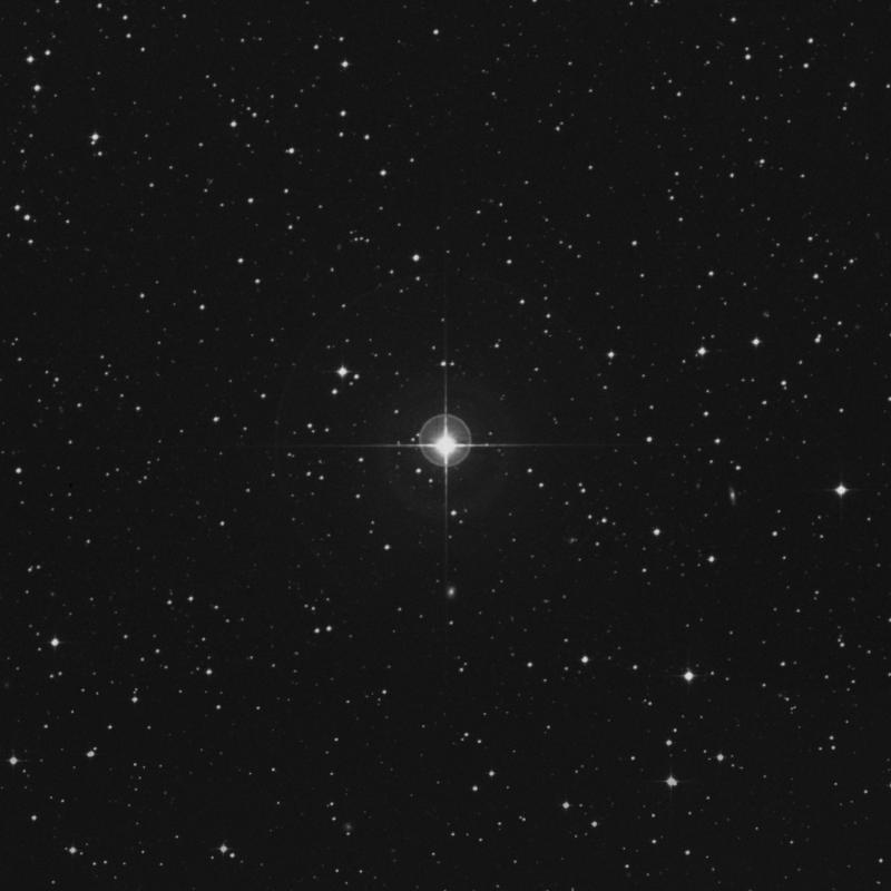 Image of μ Columbae (mu Columbae) star