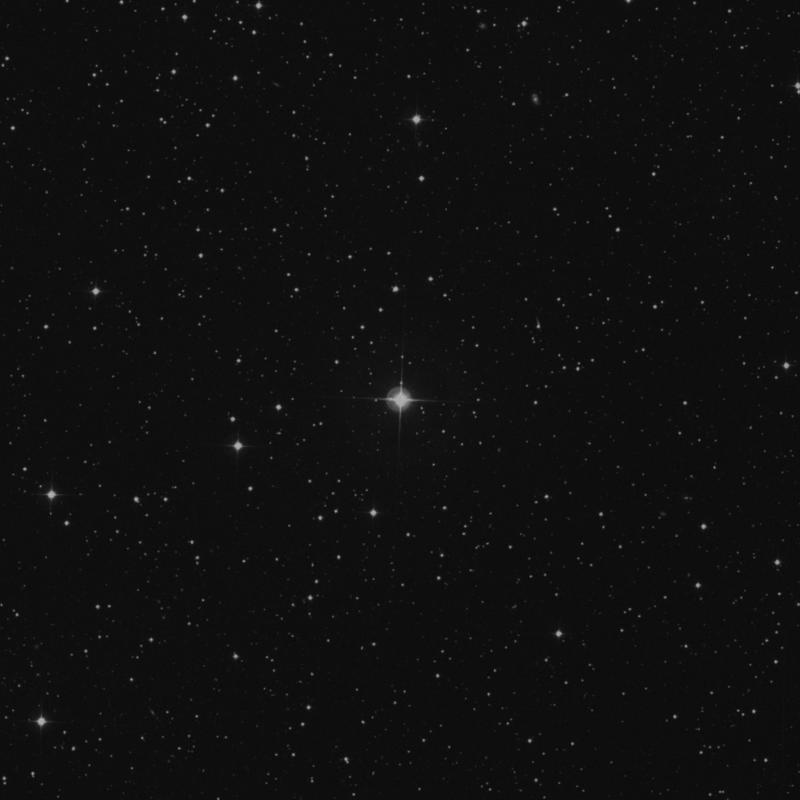 Image of HR205 star