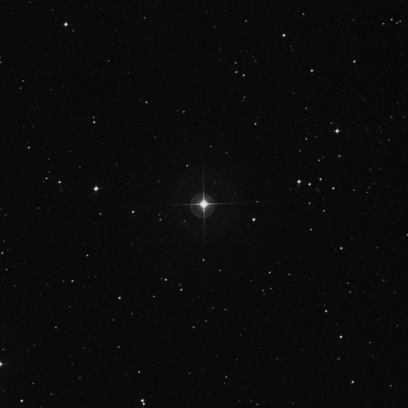 Image of HR239 star