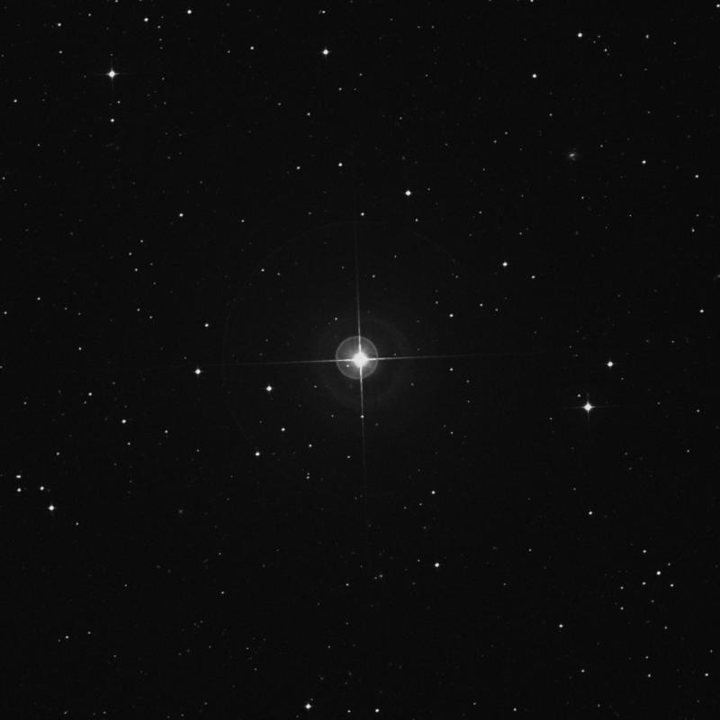 Image of ρ Phoenicis (rho Phoenicis) star