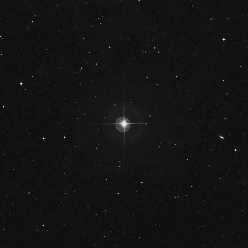 Image of 21 Ceti star