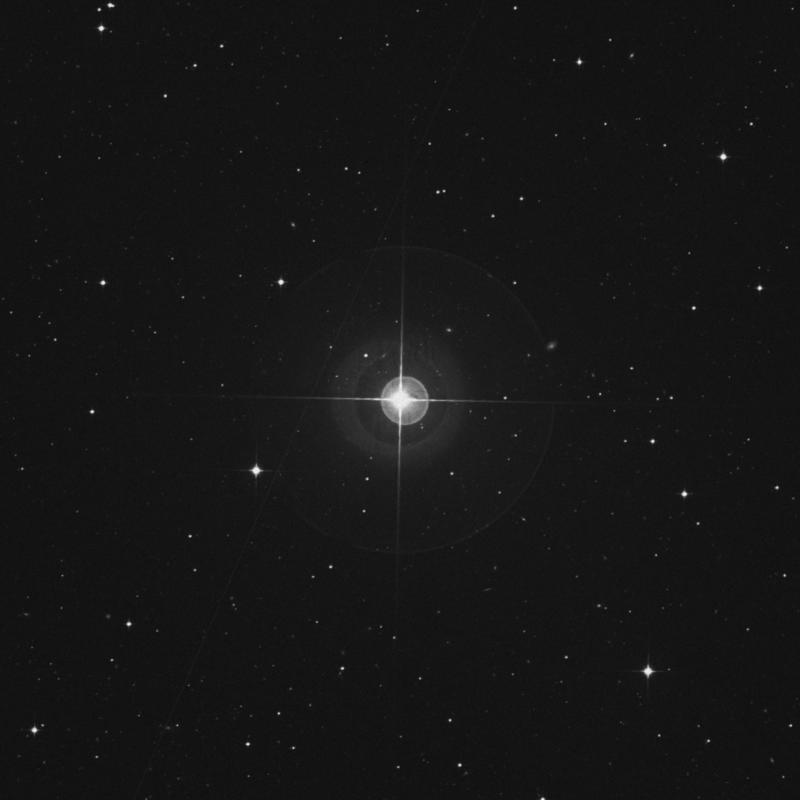 Image of α Sculptoris (alpha Sculptoris) star