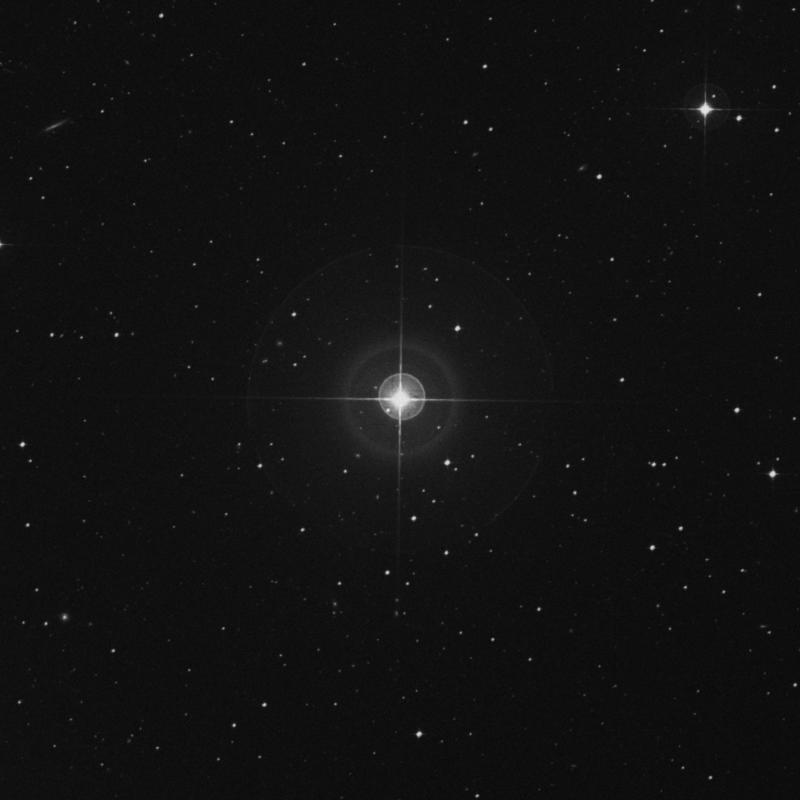 Image of HR299 star