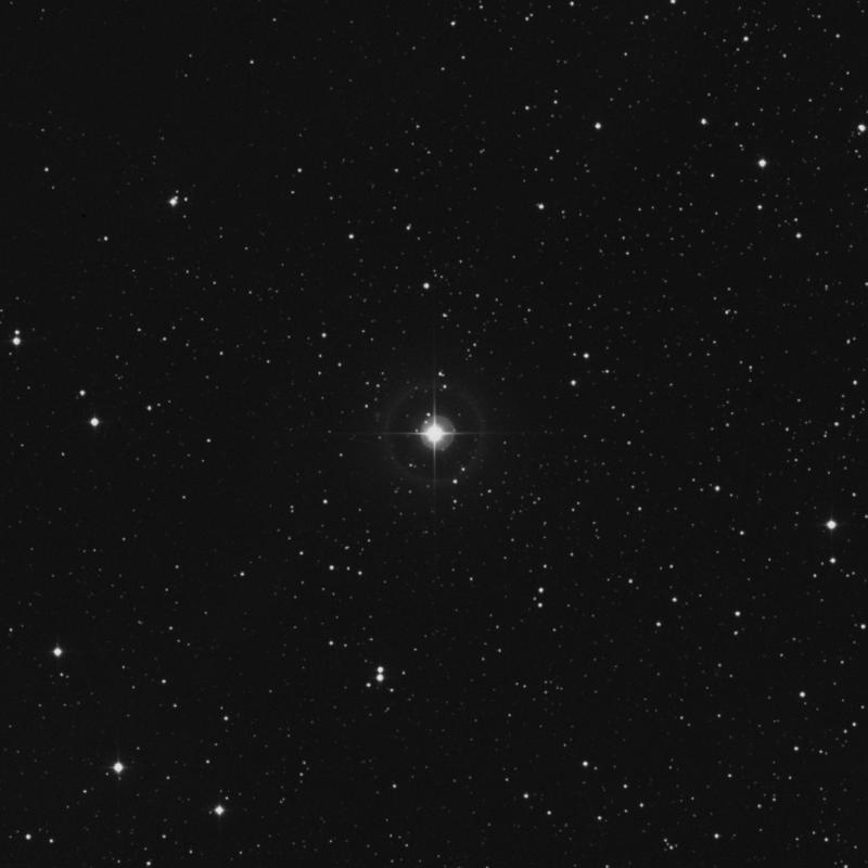 Image of HR2019 star