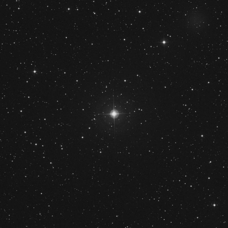 Image of 31 Camelopardalis star