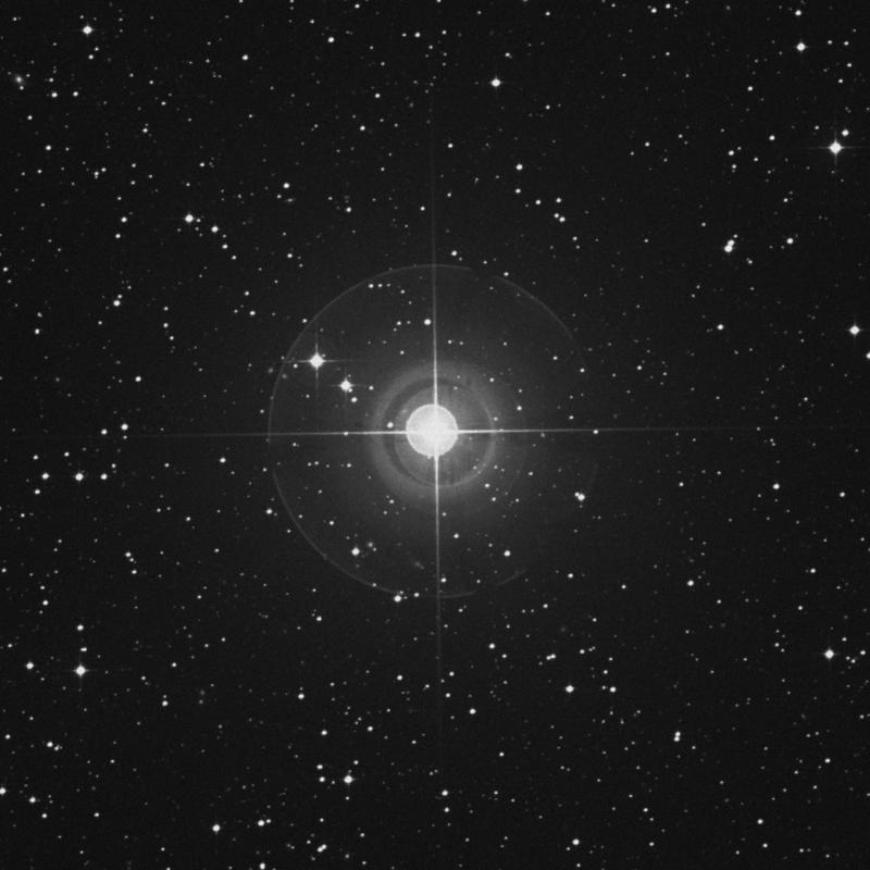 Image of δ Leporis (delta Leporis) star