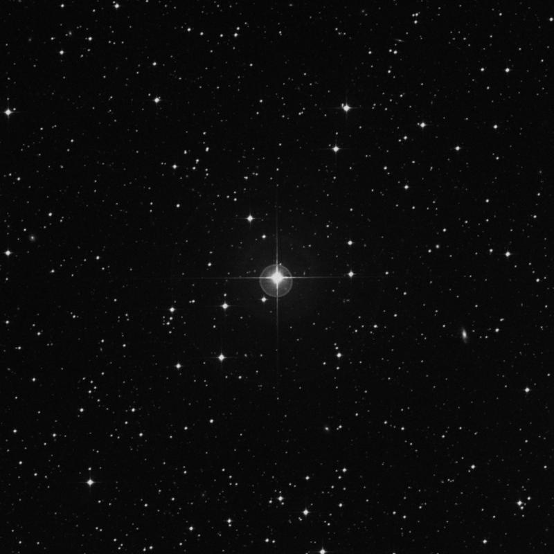 Image of HR2036 star