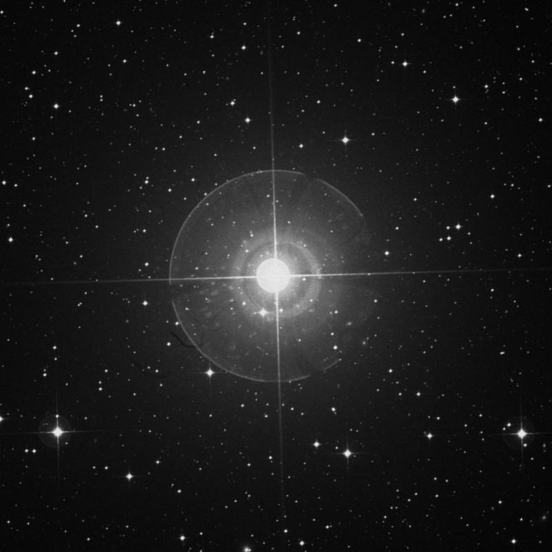 Image of Wazn - β Columbae (beta Columbae) star