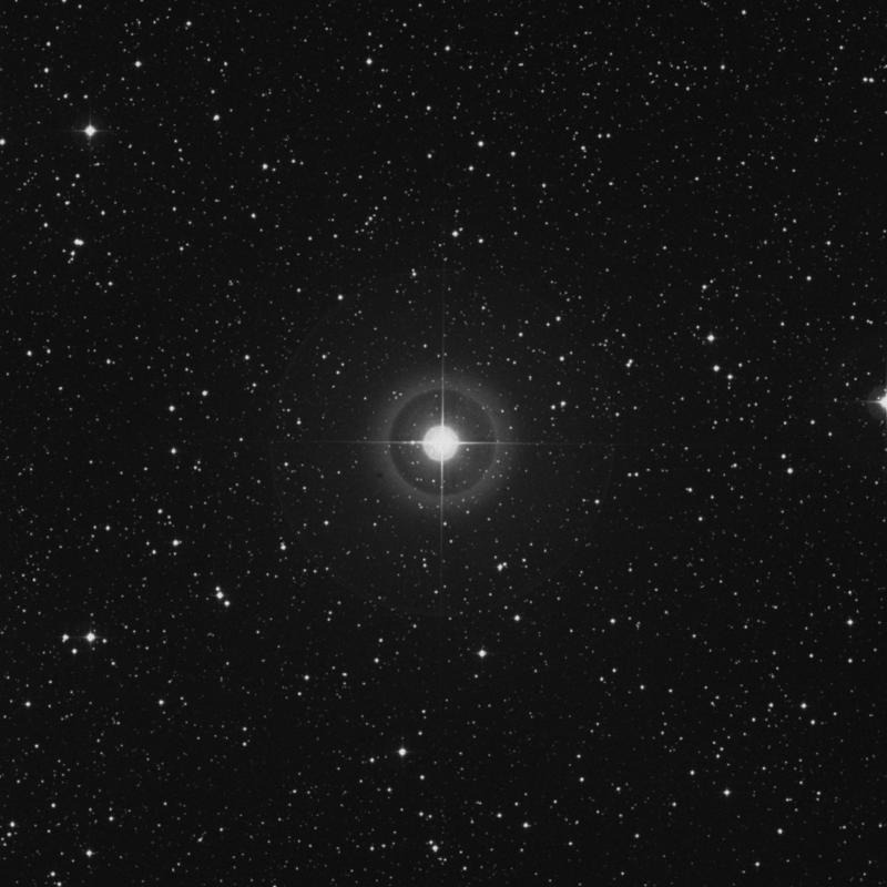 Image of χ1 Orionis (chi1 Orionis) star