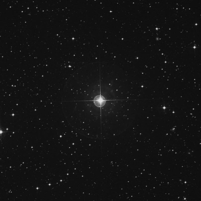 Image of λ Columbae (lambda Columbae) star