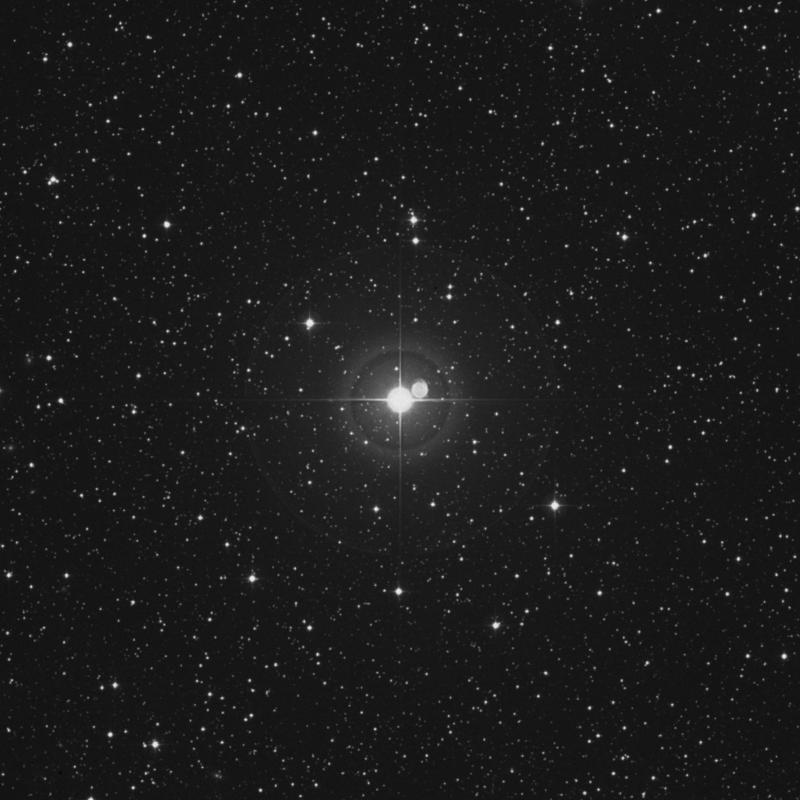 Image of μ Orionis (mu Orionis) star
