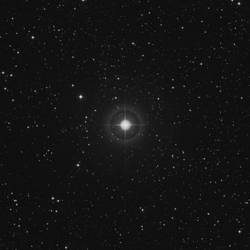 Image of χ2 Orionis (chi2 Orionis) star