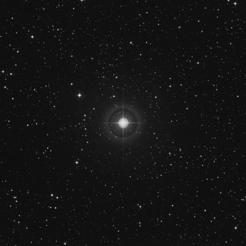 Image of χ2 Orionis (chi2 Orionis) star