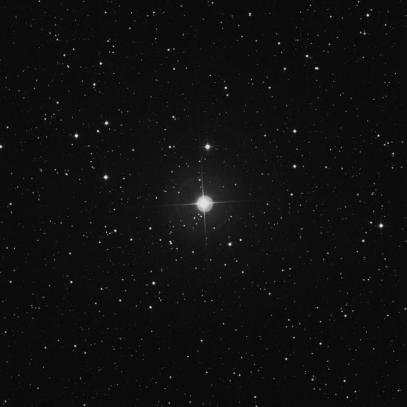 Image of 36 Camelopardalis star