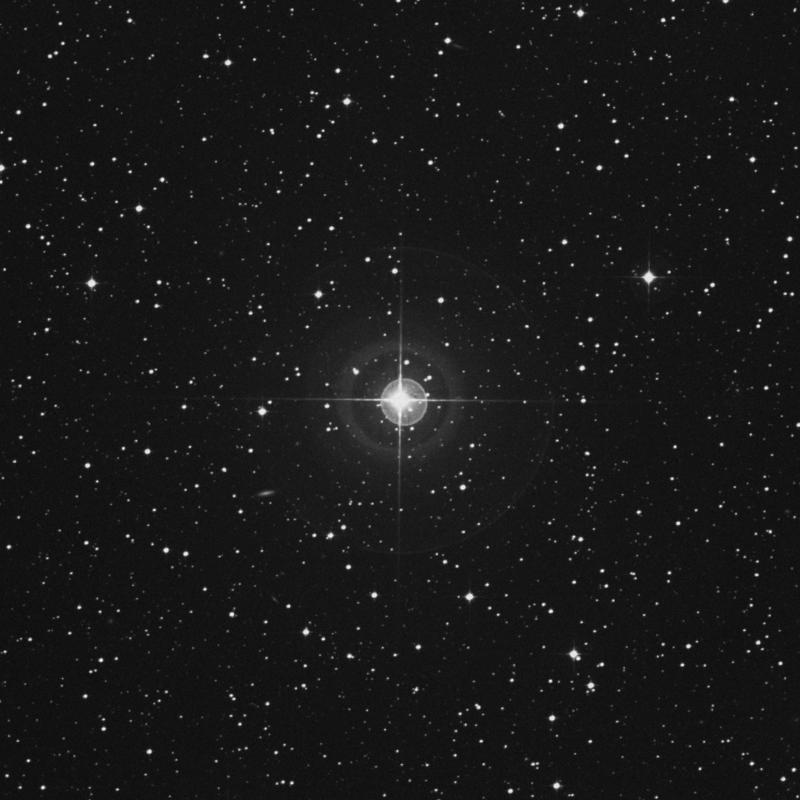 Image of 19 Leporis star