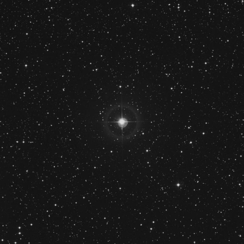 Image of HR2169 star