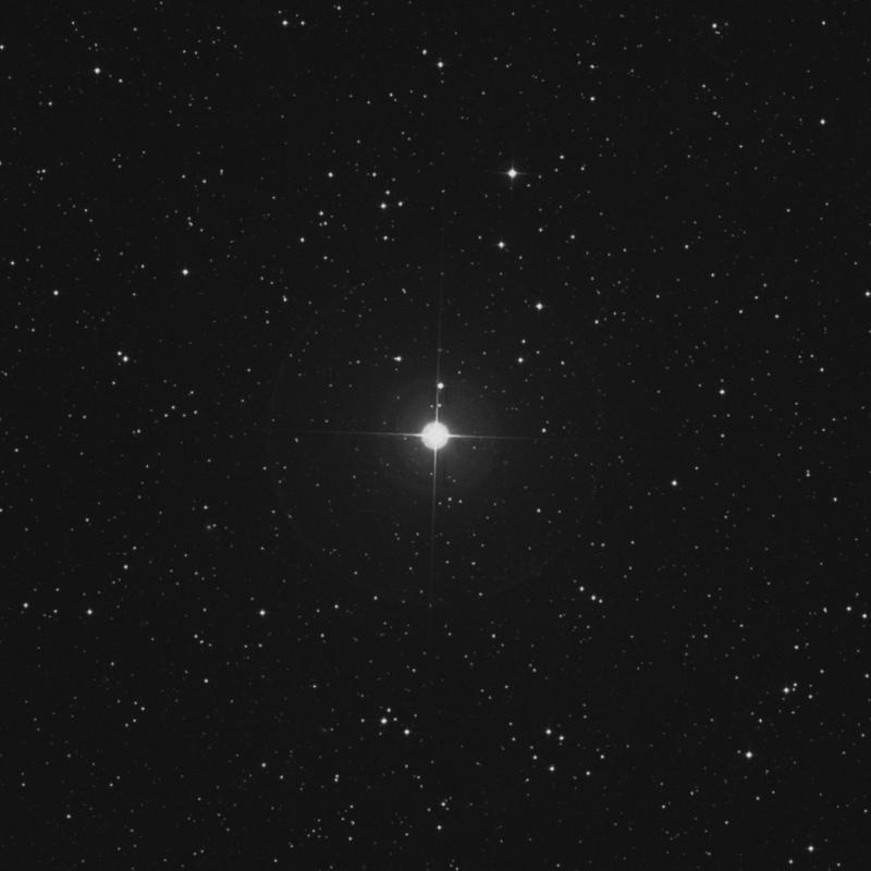 Image of 40 Camelopardalis star