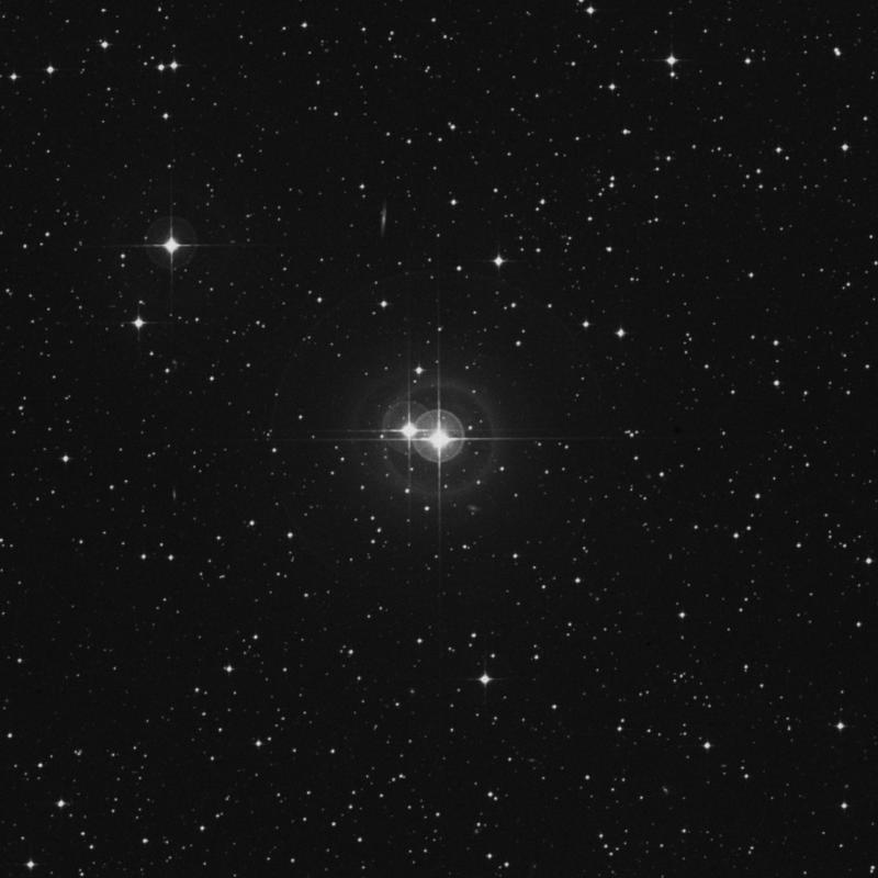 Image of HR2316 star