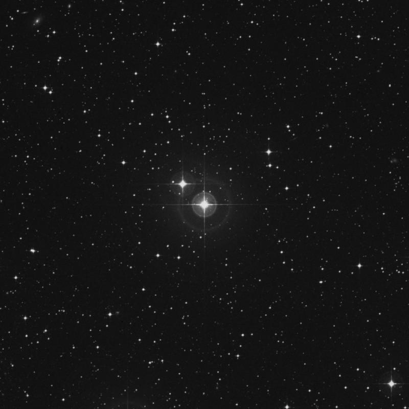 Image of HR2329 star